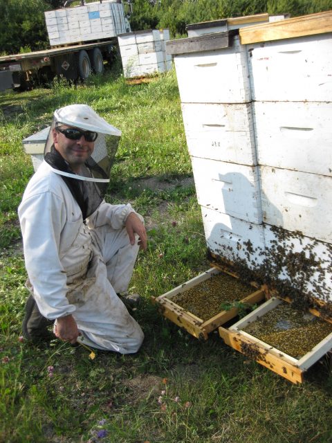 Beekeeper posing with pollen