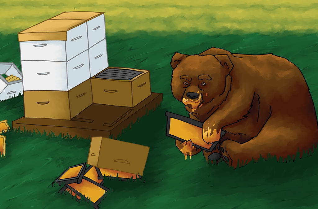 Illustration of bear eating honey