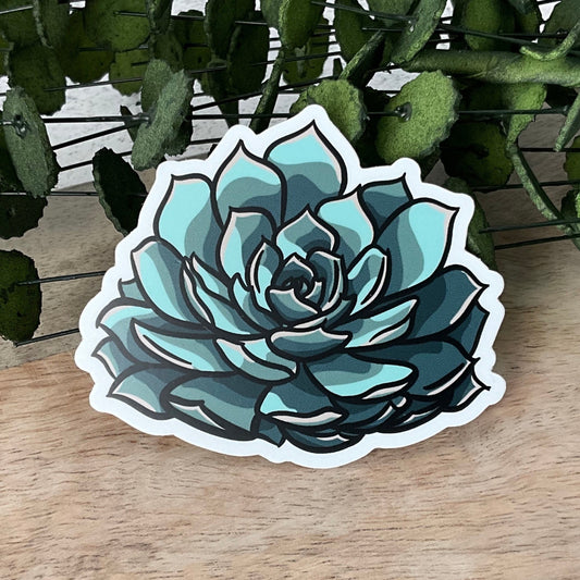 You Succ Succulent Plant Sticker - Unique Gifts - Tiny Bee Cards