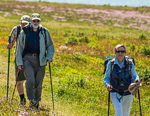 Drei Wanderer gehen mit Stöcken in der Hand über eine Wiese mit Blumen. Im Hintergrund sieht man das Meer.