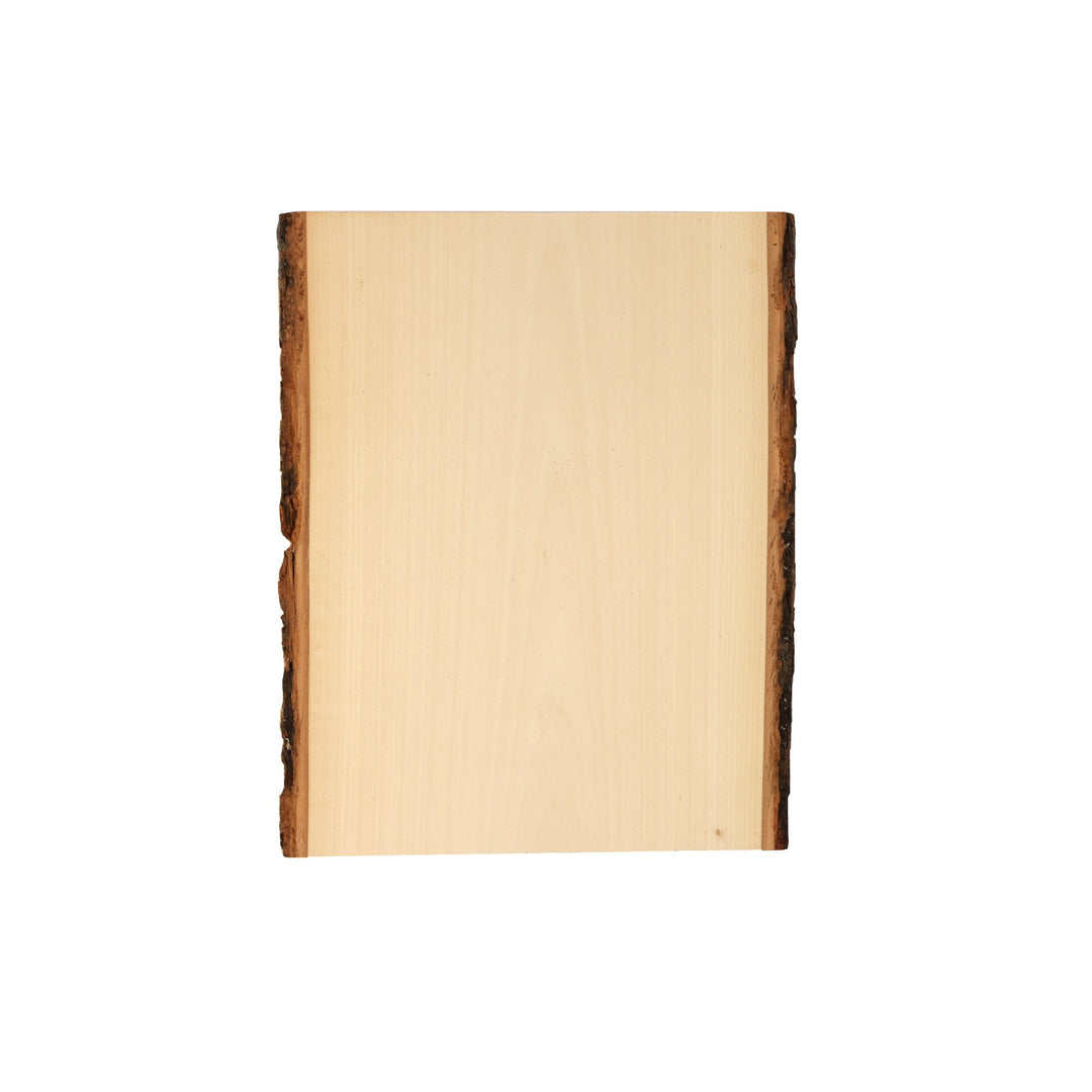 Large Basswood Slab with Bark 11-18 Natural