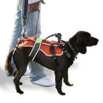 Dog Aids Harness