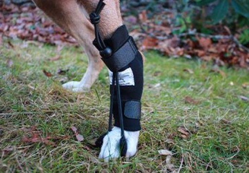 Dog Knuckling Boots & Braces — ZOOMADOG