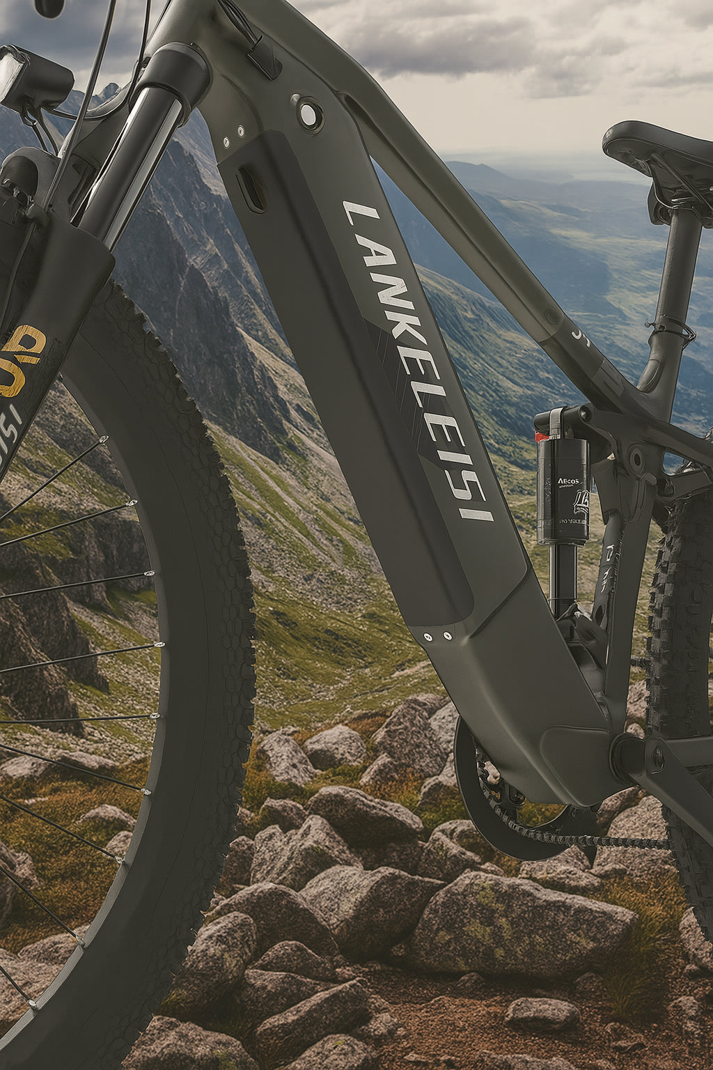 Suspension DNM RX600 Pro