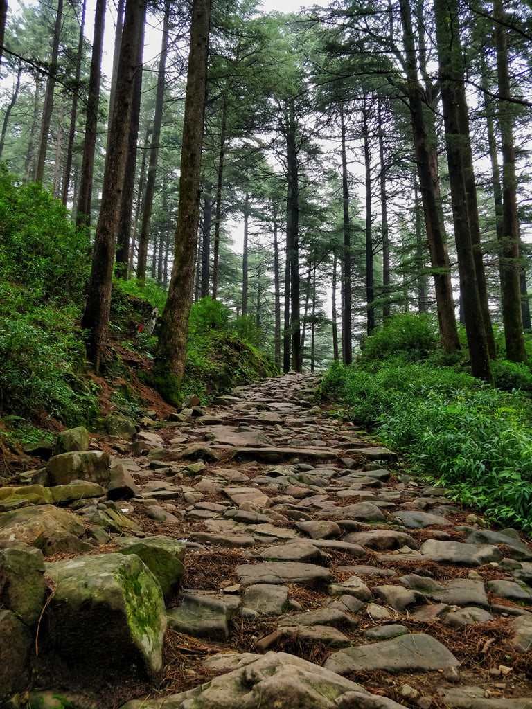 McLeod Ganj