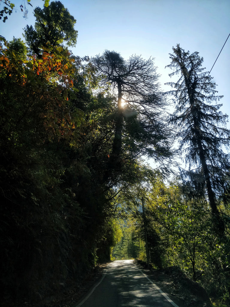 Jibhi, Himachal Pradesh