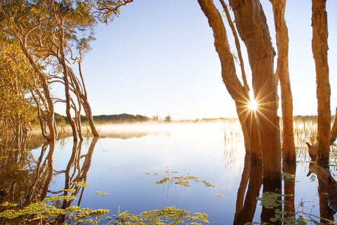 Lennox Head Photograph - Lake Ainsworth