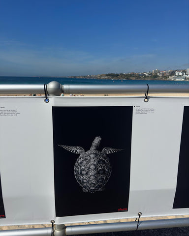 craig parry head on photography finalist bondi beach