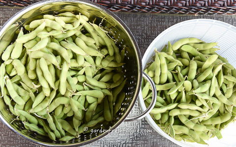 What are the possible side effects of eating edamame?