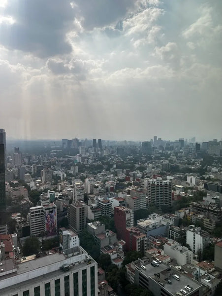 Mexico City skyline