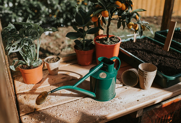 Gardening gift guide - Green watering can