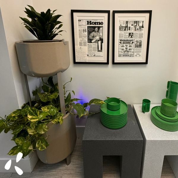 marly planters in Heller furniture office
