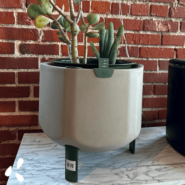 home from college office space with small succulent planter