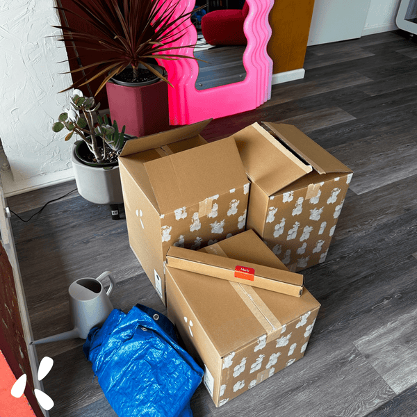 marly planters in boxes