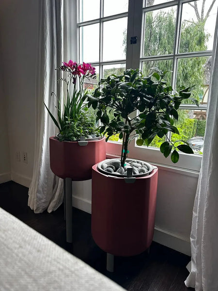 Marly planters in hotel
