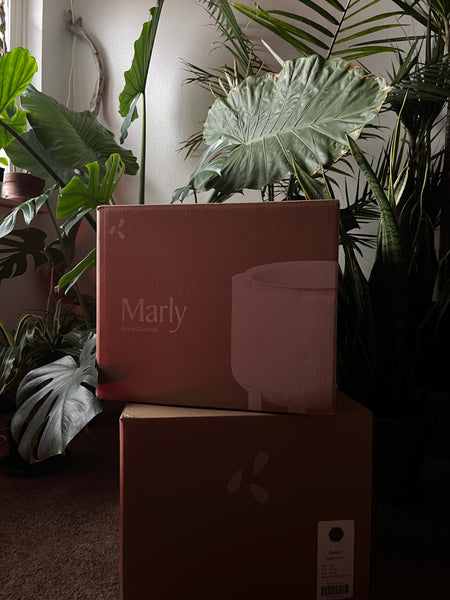 Boxes of Marly planters in home