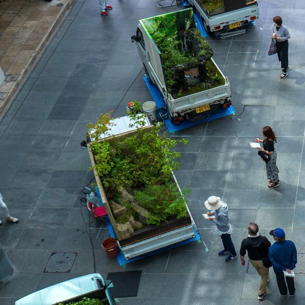 kei truck gardening contest