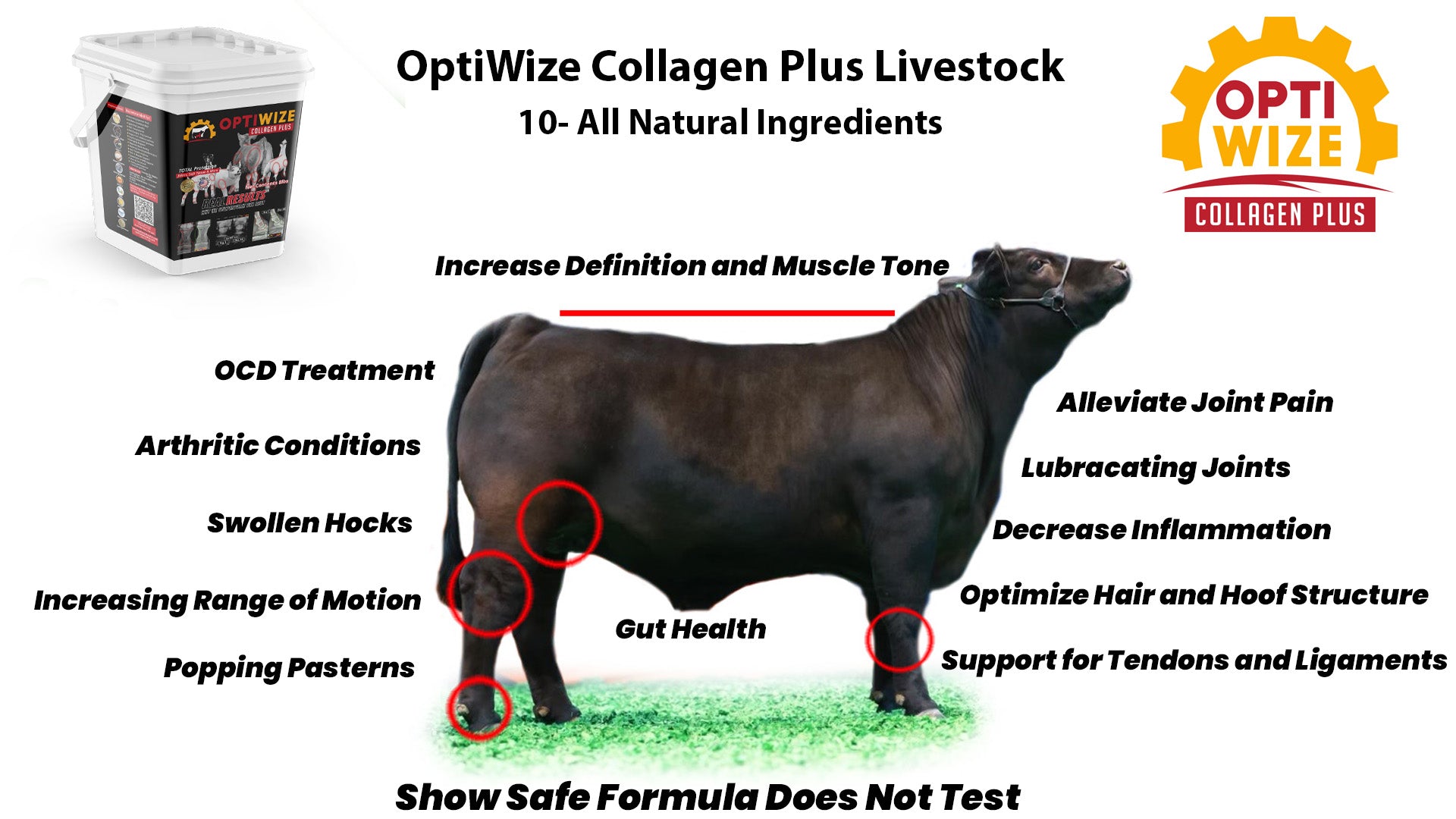 optiwize-livestock-showstock-infographic