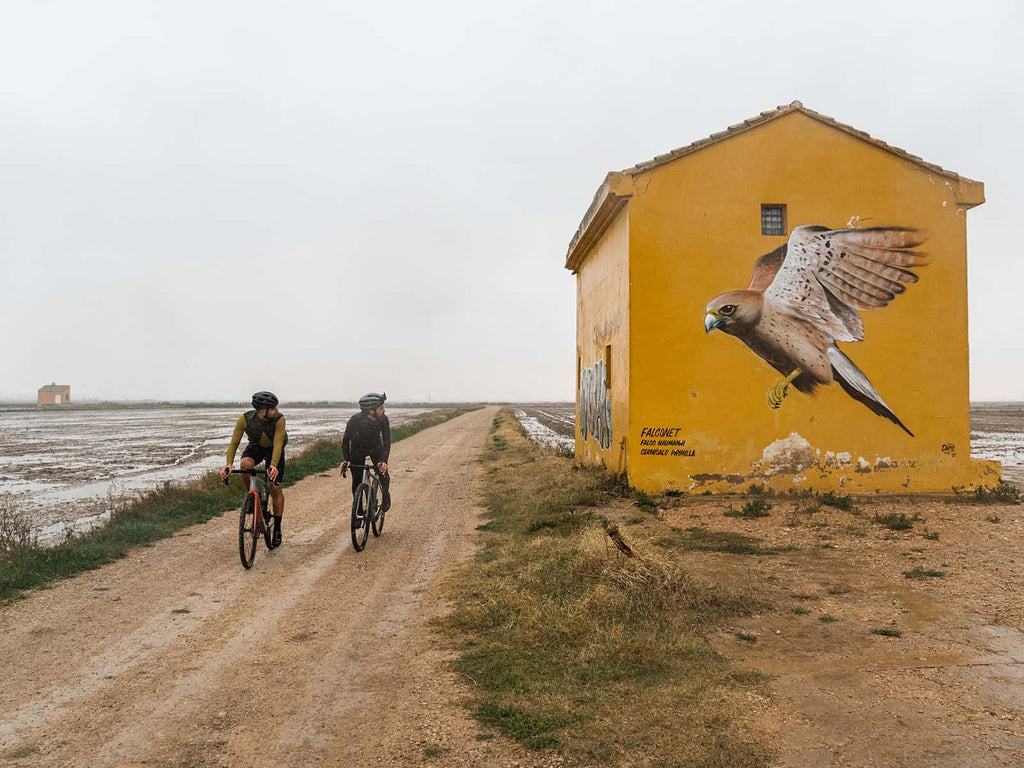 Ocells de L´Albufera, una ruta Gravel que une el ciclismo y las pinturas murales