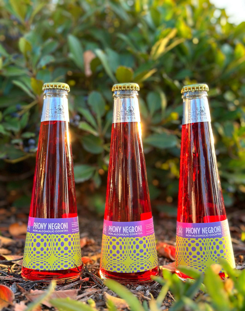 Agua de Piedra (Sparkling Water) – Texas Wine Club