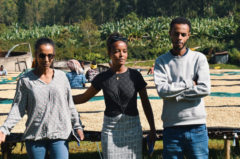 WideFormat: Catalyst Trade employees standing in front of a field of raised drying coffee beds in Yirgacheffe, Ethiopia