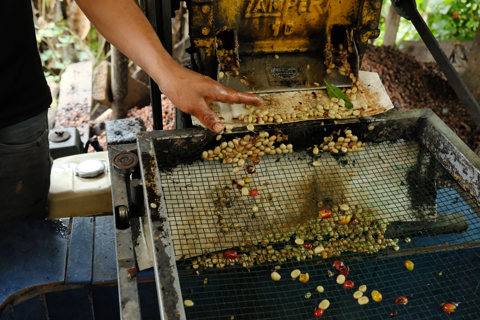 WideFormat Hand gestures to Coffee cherry depulper on farm in Peru.