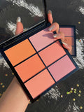 Pleasunch Genuine 6-Color Blush Palette 6-Color Blush Palette Matte Natural Blush Long-Lasting Color Rouge