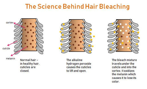Bleached Hair Don T Care The Ultimate Bleaching Guide To The