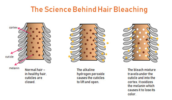 8. The Science Behind Bleached Hair Turning Pink - wide 5