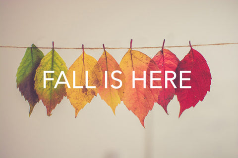 fall leaves in order by color with text, "fall is here"