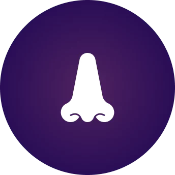 Icon of a white nose on a purple background.