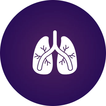 Illustration of white lungs on a purple circular background.
