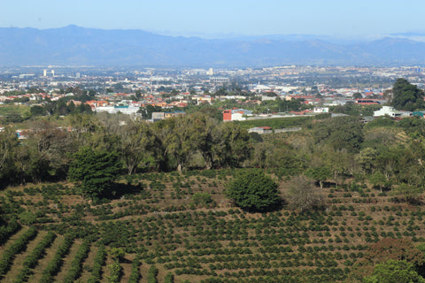 finca garcilazo costa rica