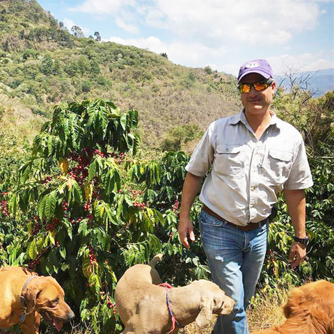 Finca El Socorro Guatemala