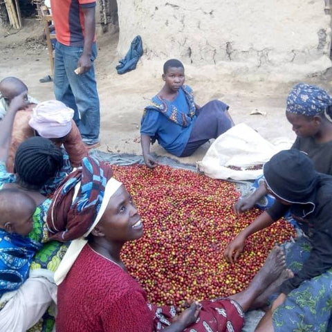 mapendo women cooperative coffee