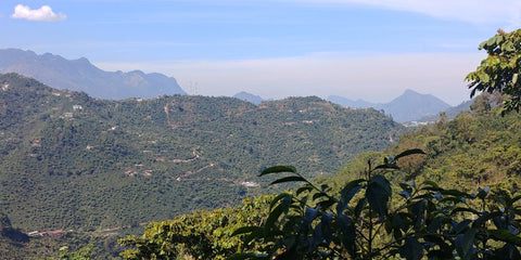 Finca El Socorro Guatemala