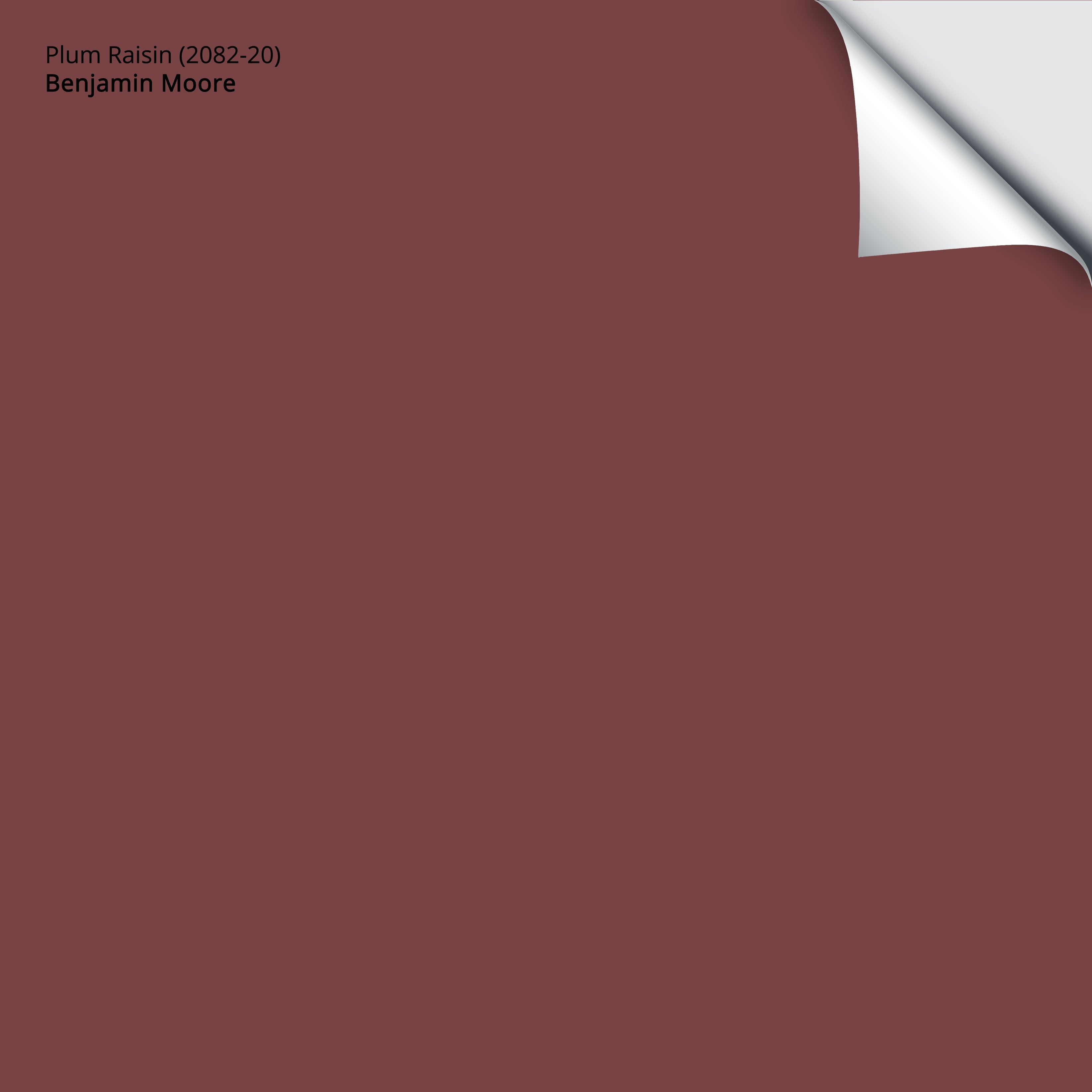 Plum Raisin (2082-20): 9"x14.75" – Benjamin Moore x Samplize
