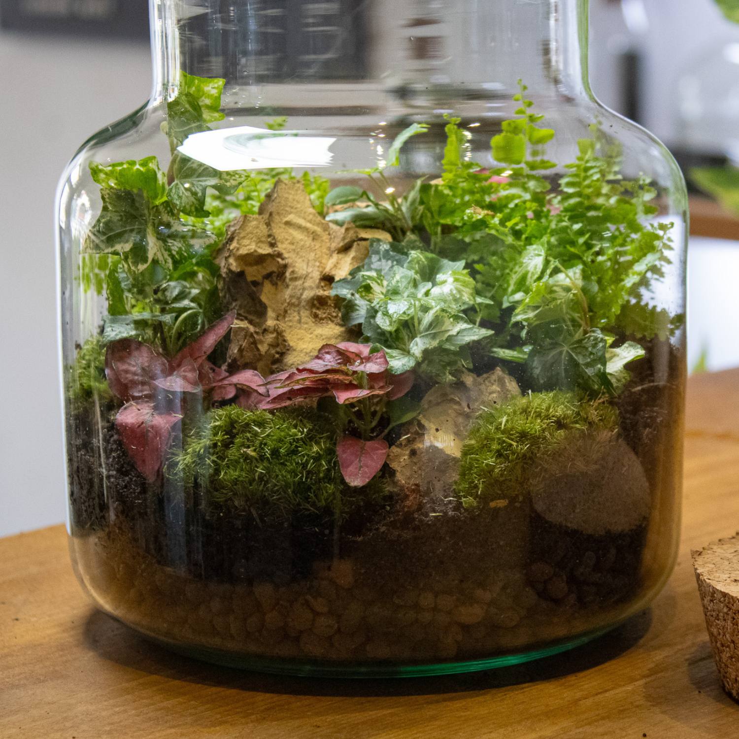 Completed closed terrarium