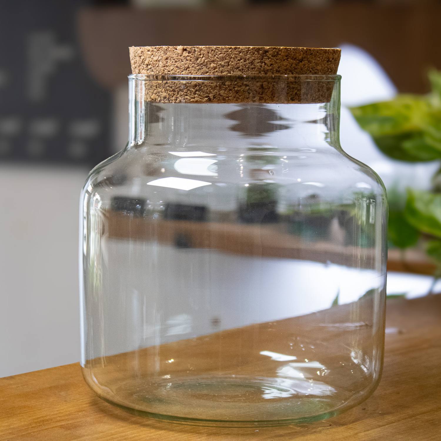 Terrarium container with cork lid for tropical terrariums