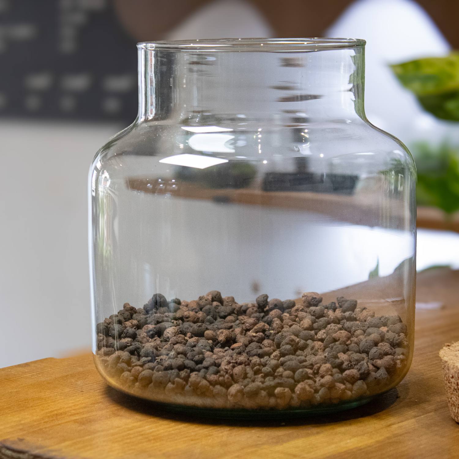 Terrarium Kit instructions with LECA being placed inside container