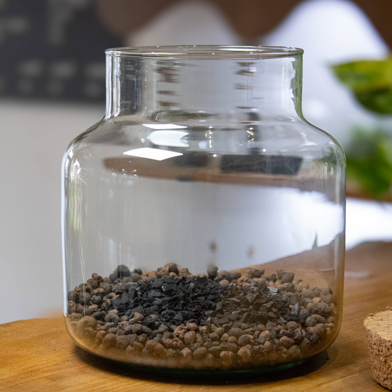 Activated charcoal layer in terrariums