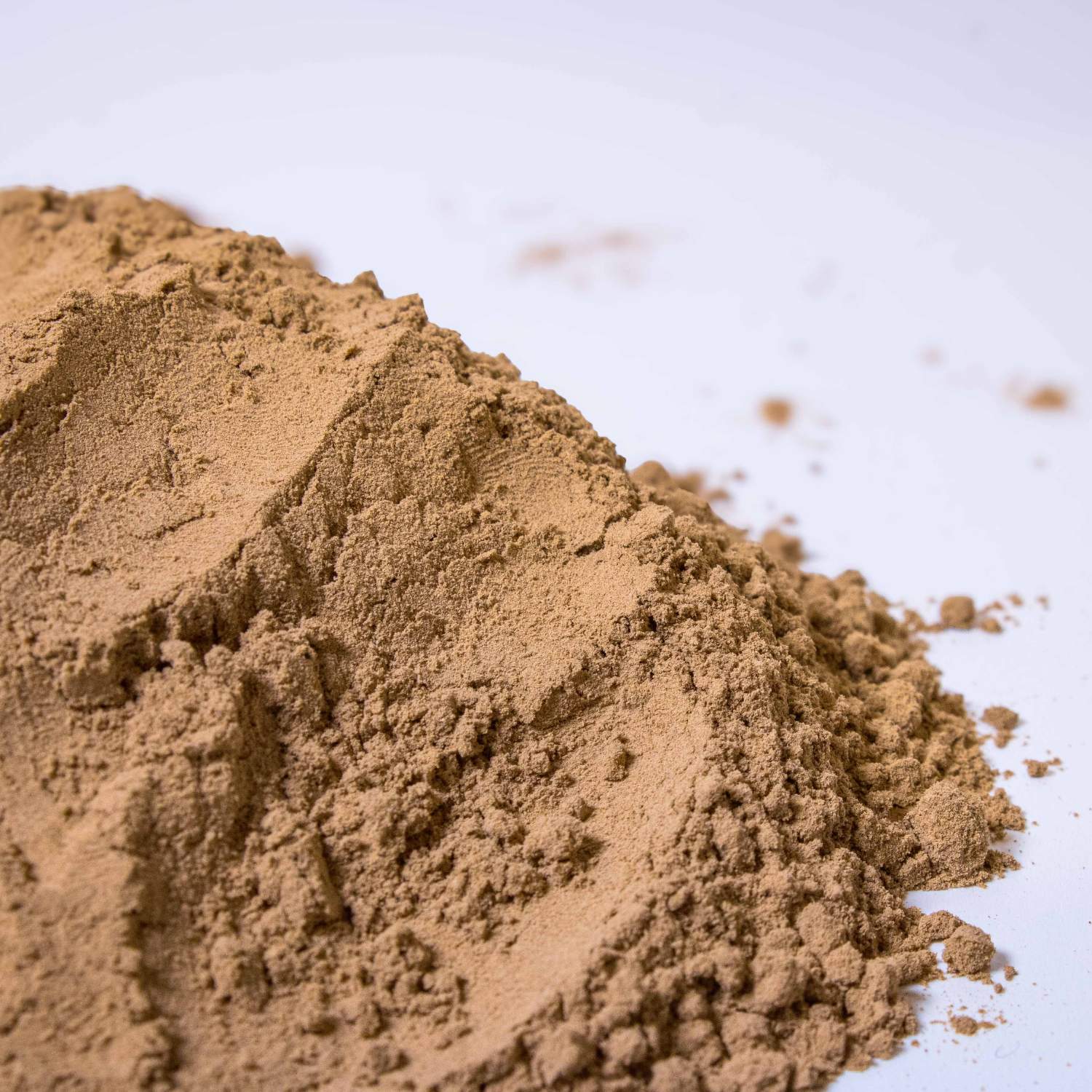 Terrarium Clay Powder