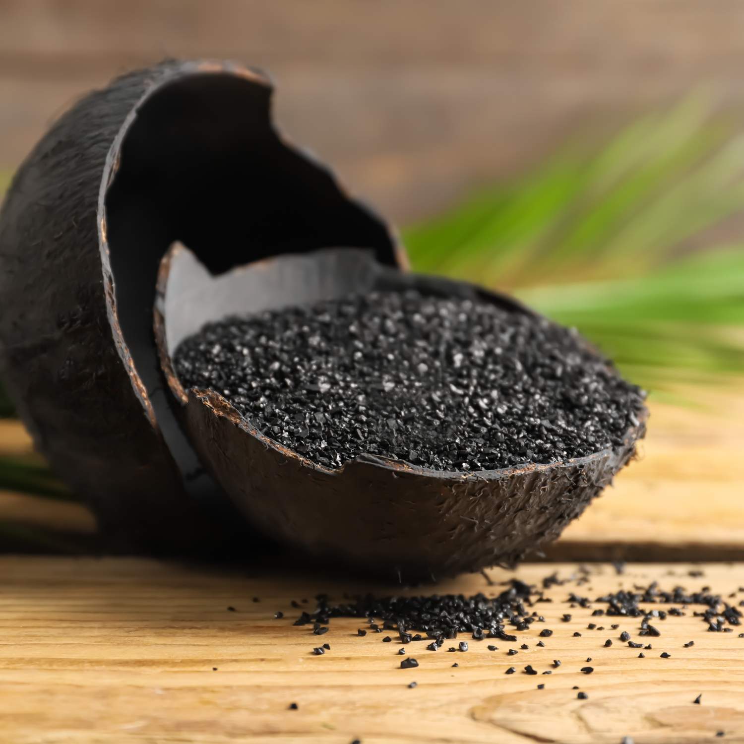 Activated charcoal in a bowl for terrariums