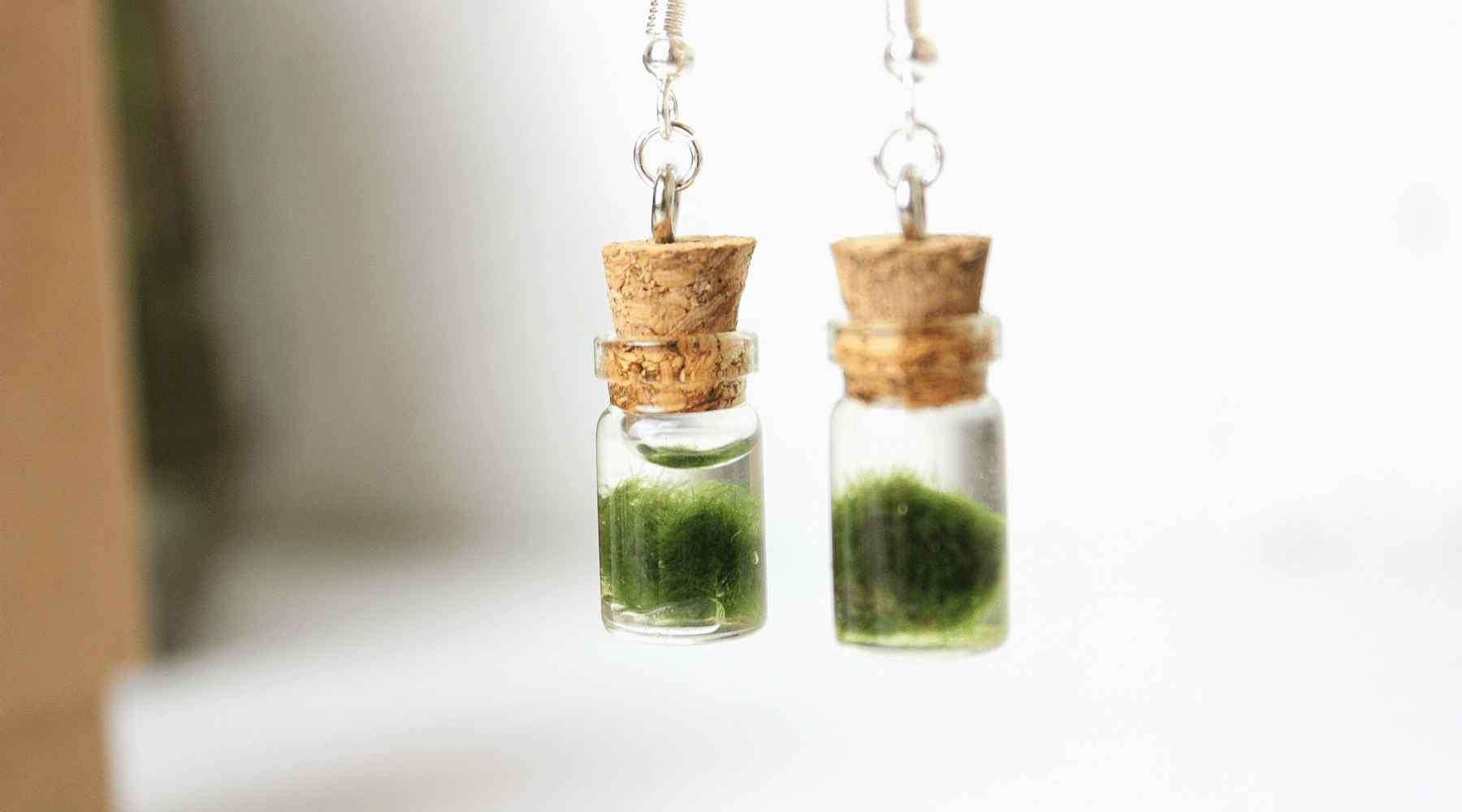 Pendientes de musgo Marimo a la venta