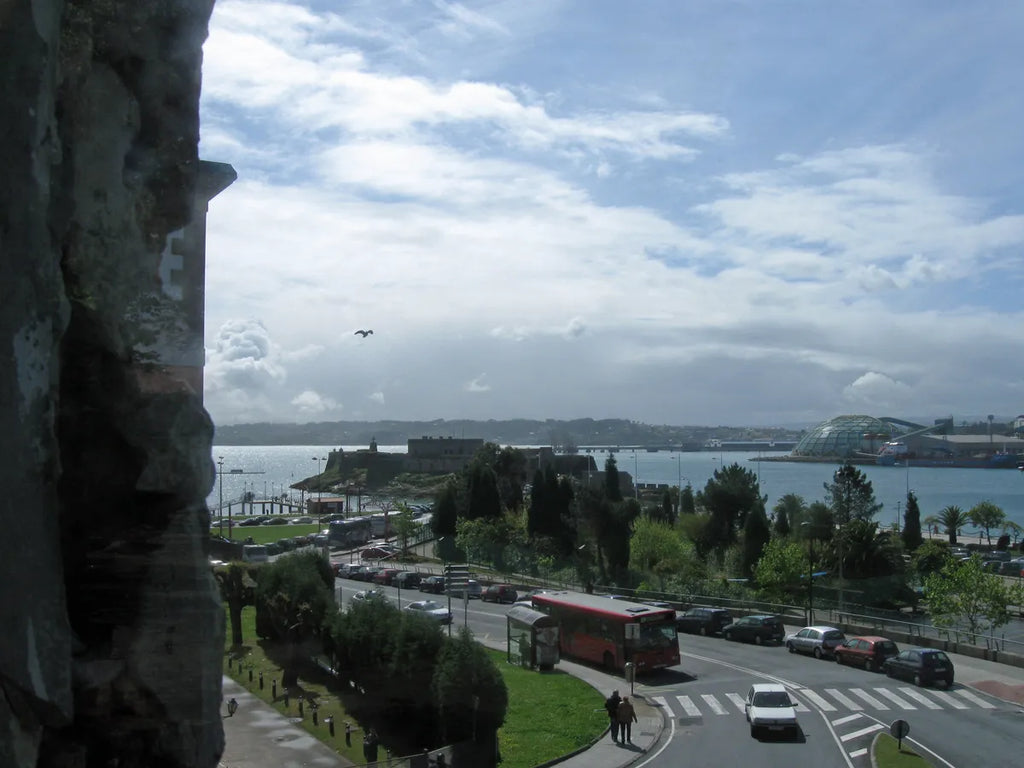 Harbor view from memorial park