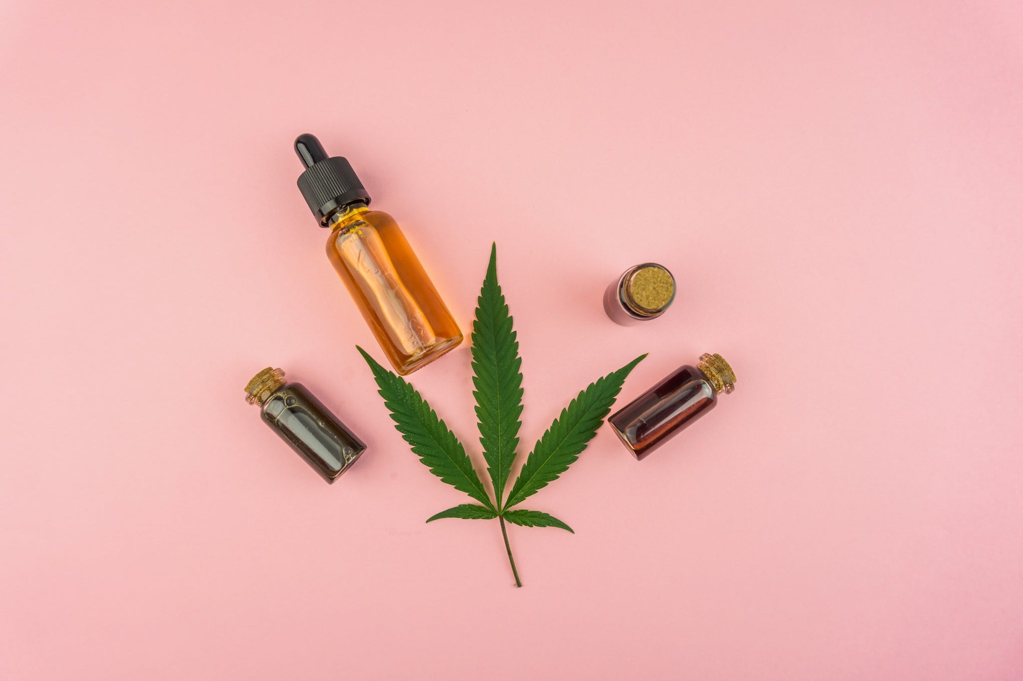 CBD oil made from cannabis need a carrier oil