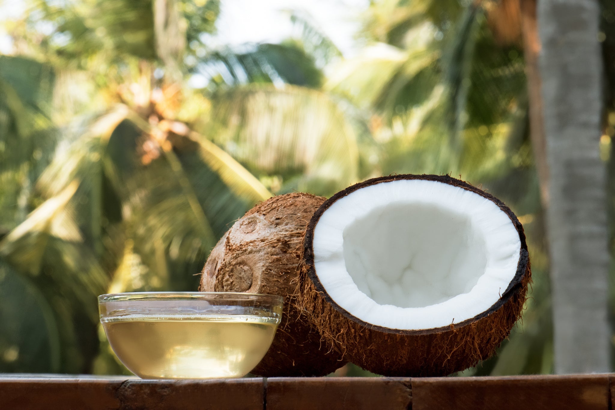 coconut oil or MCT oil as a carrier for CBD oil