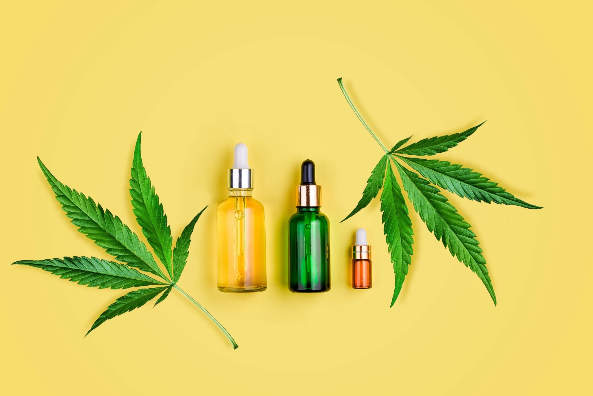 similarities and differences between hemp oil and cbd