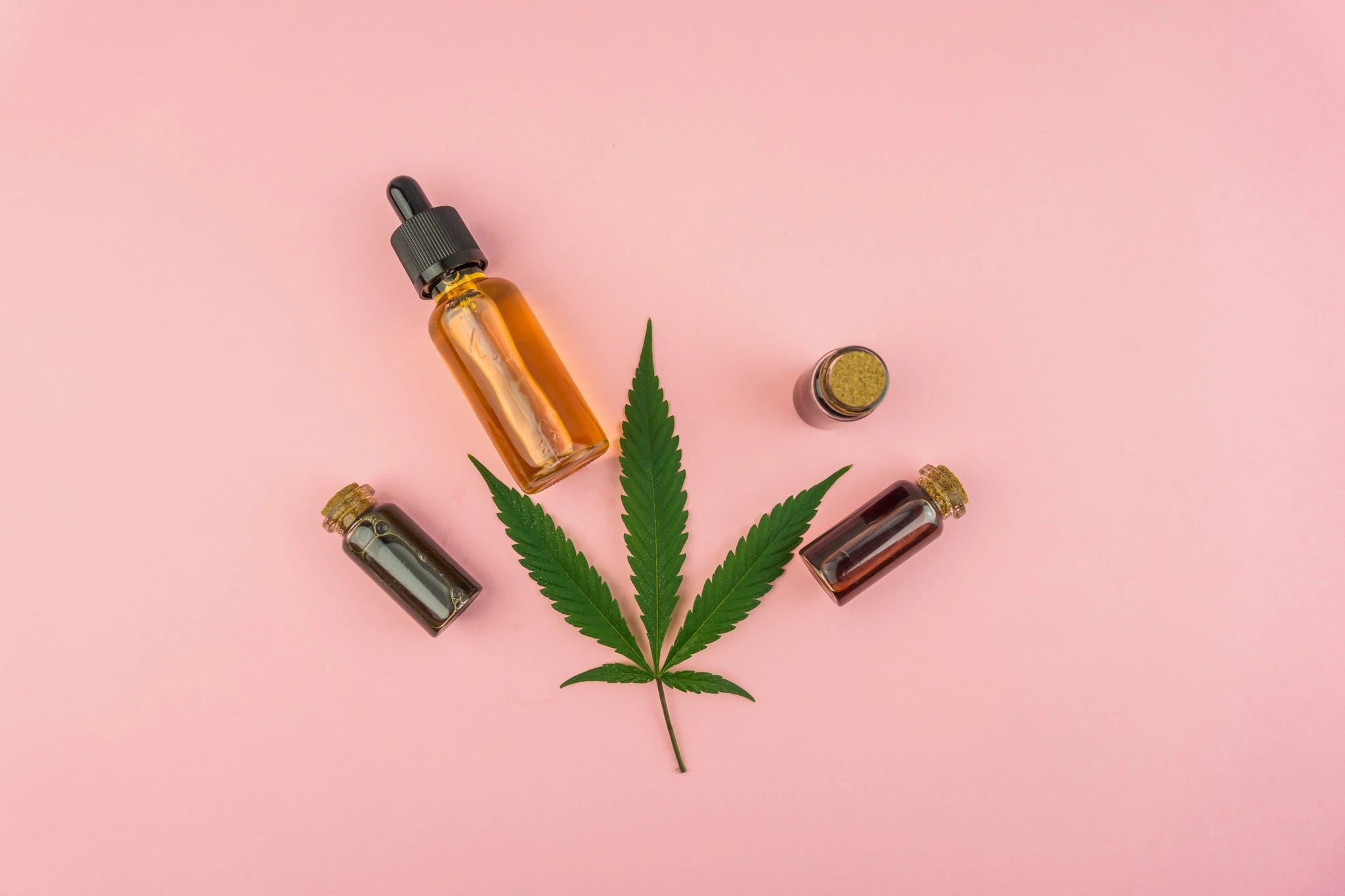 simple guide to the best cbd