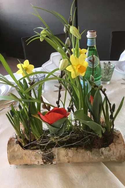 DIY Blumentopf aus Birkenstamm